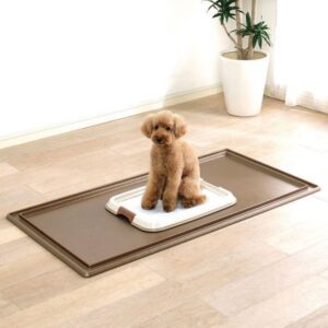 PP Vacuum Forming Pet Tray