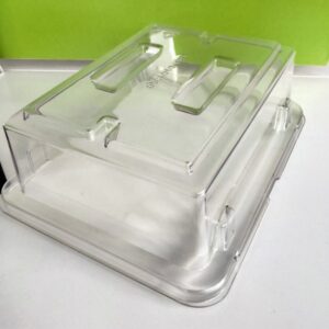 PET thick blister food box